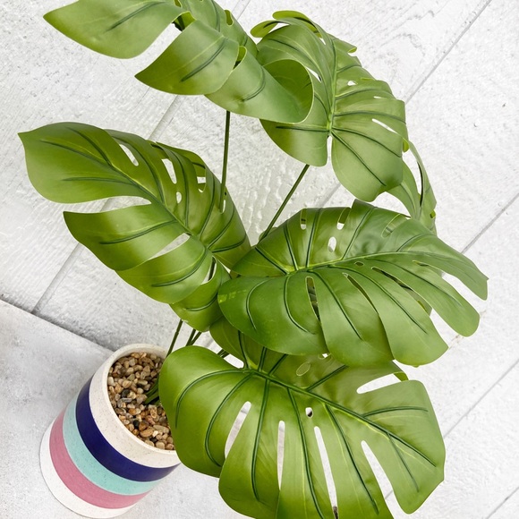 Faux Monstera Deliciosa Plant in Colorful Pot - Picture 6 of 15